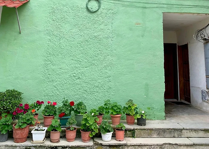 Dimos Kristi